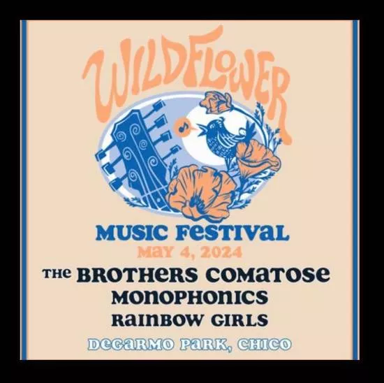 Wildflower Music Festival 2024 event graphic